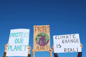 Posters protesting against climate change