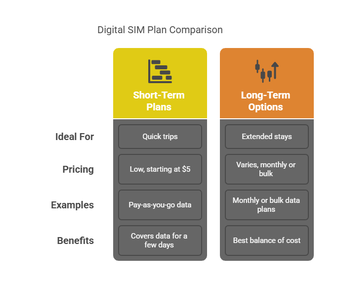Digital SIM Essentials for Staying Connected on the Go - visual selection