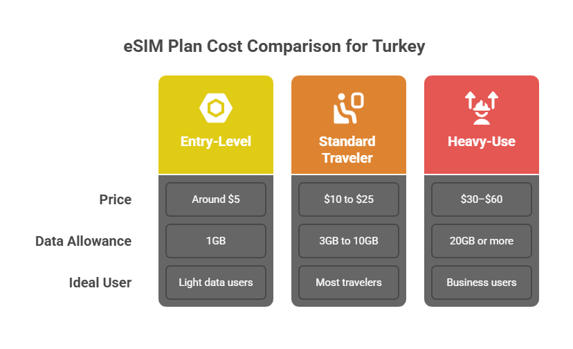 How Much Does an eSIM for Turkey Cost_ - visual selection