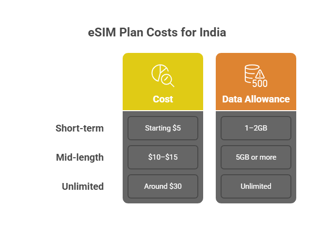 What Does an eSIM for India Cost_ - visual selection