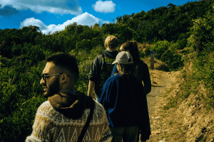 Group Hiking Adventure in Wellington New Zealand